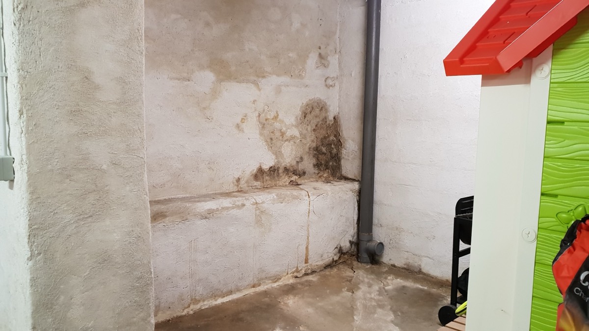 Infiltrations d'eau - Expertise humidité à Montreuil